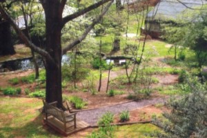 A view of the garden from above