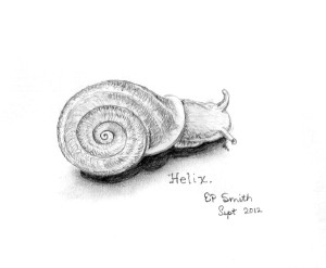 Snail, Emily Smith